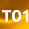T01