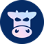 CoW Protocol COW